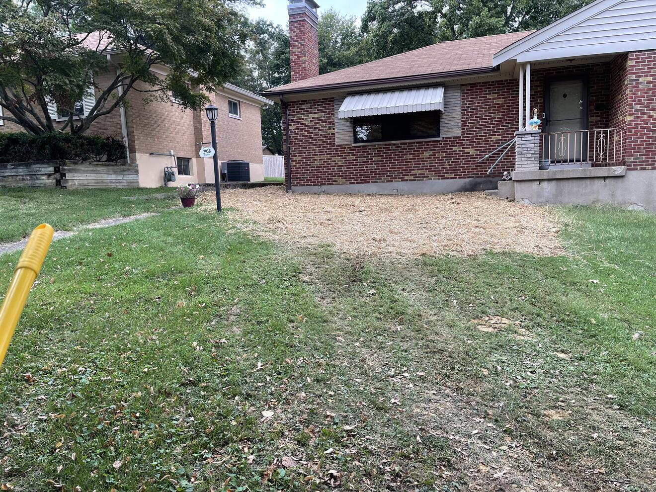Fresh grade cut away from the foundation of a brick house, seeded and strawed across the front yard