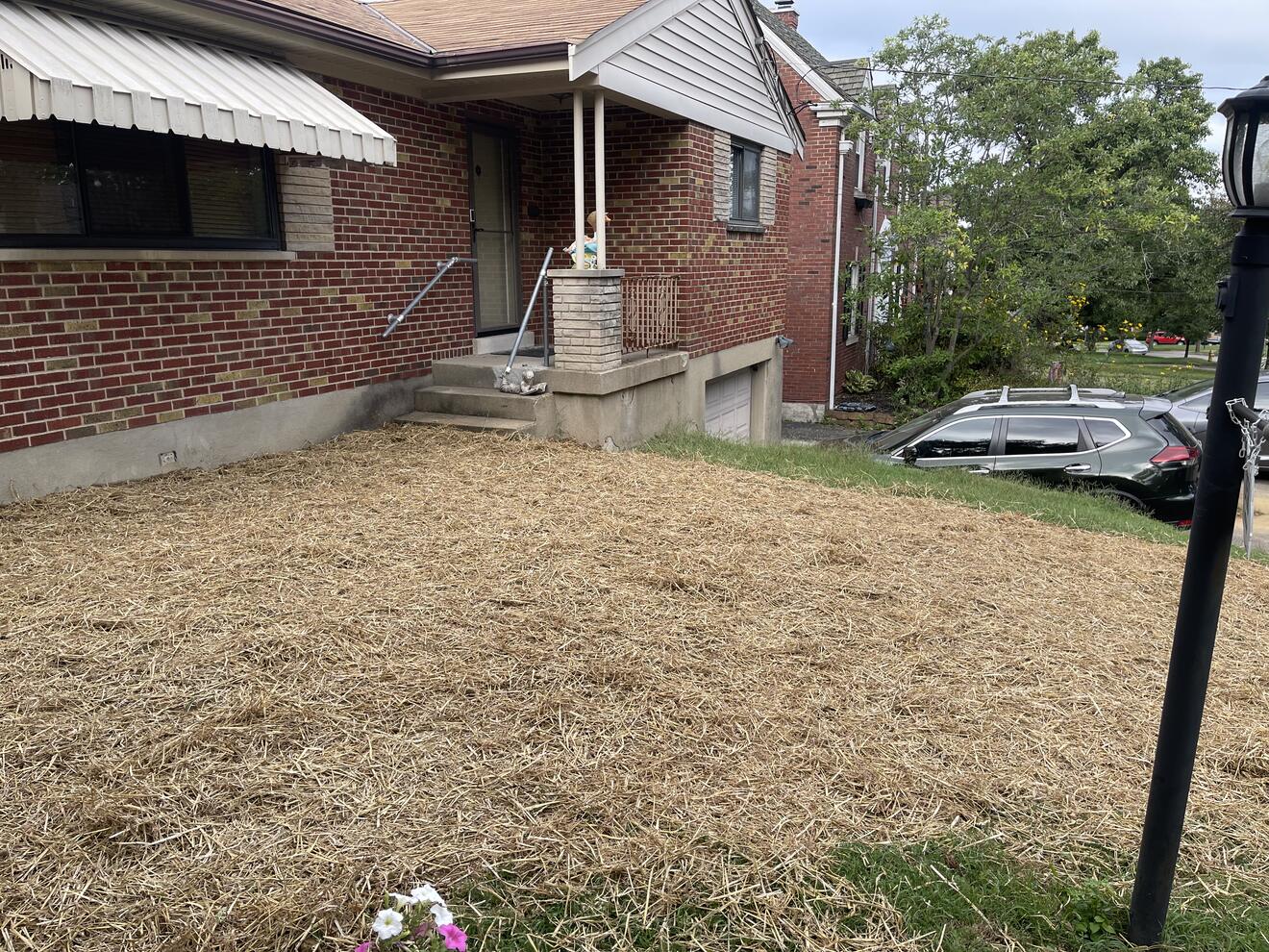 Front yard regraded to slope away from a brick house foundation, freshly seeded and covered in straw